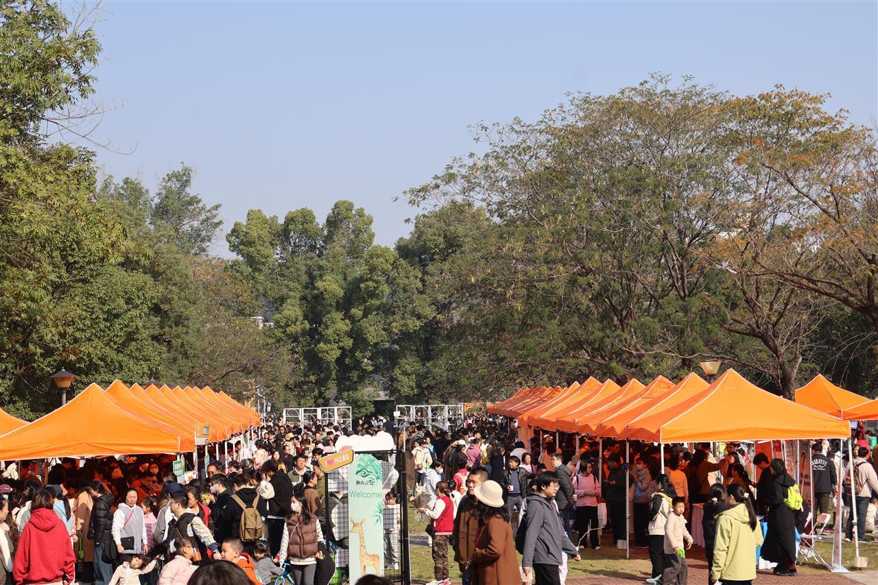 16 集市区（通讯员 陈琳溪 摄）.jpg